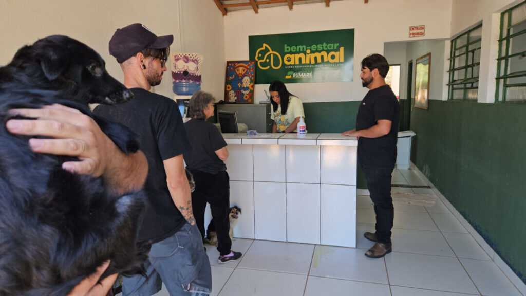 bem-estar-animal-de-sumare-realiza-mais-de-1.200-atendimentos-veterinarios-em-2025