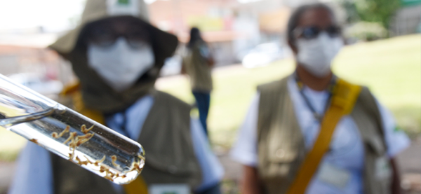 -sumare-reforca-acoes-contra-a-dengue-com-reuniao-do-comite-municipal-de-arboviroses-