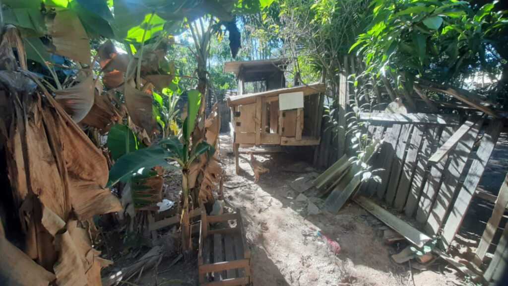 PM Ambiental multa responsável em R$ 10 mil por dano em área verde de Sumaré pm-ambiental-multa-responsavel-em-r$-10-mil-por-dano-em-area-verde-de-sumare