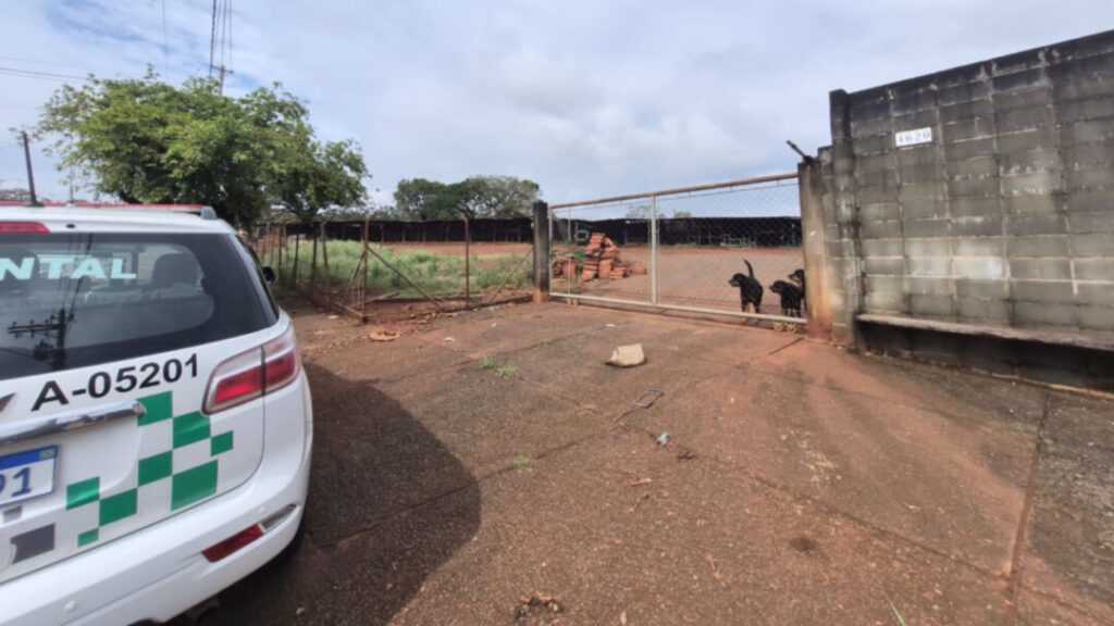 madeireira-de-sumare-e-multada-em-r$-105-mil-por-nao-atualizar-estoque-de-madeira