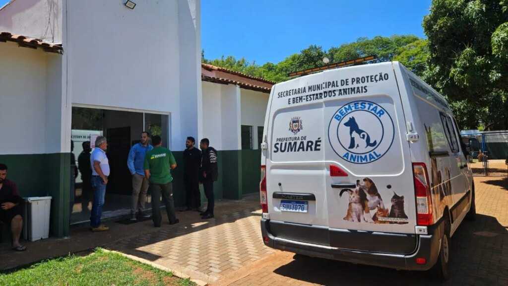 Feira disponibiliza animais resgatados para adoção sábado agora em Sumaré feira-oferece-animais-resgatados-para-adocao-neste-sabado-em-sumare